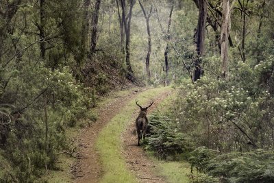 High Country Trip Nov 2018__8EF1606s.jpg