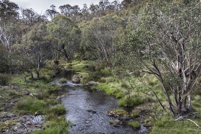 High Country Trip Nov 2018__8EF1656s.jpg