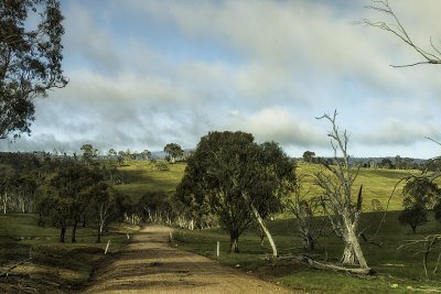High Country Trip Nov 2018__8EF1660s.jpg