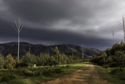 High Country Trip Nov 2018__8EF1816s.jpg