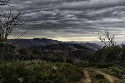 High Country Trip Nov 2018__8EF1829s.jpg