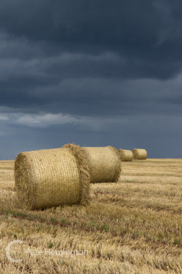 Hay bales and a darkening sky