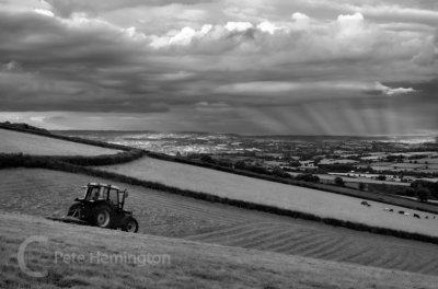 Haymaking in Mid Devon