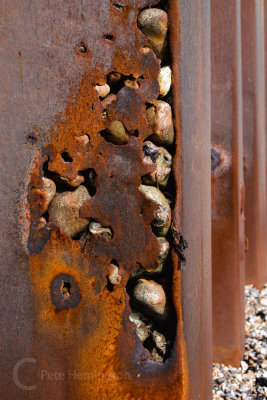 Iron work at Cuckmere Haven in East Sussex