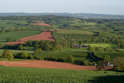 A view from Yarde Downs