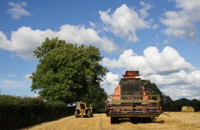 Harvest done near Plymtree