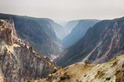 Grand Canyon of Yellowstone