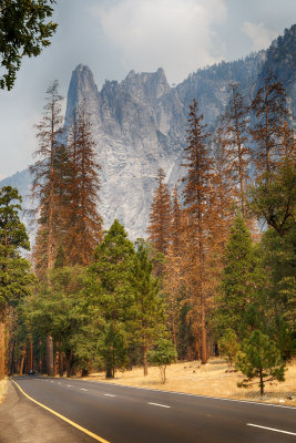 Yosemite National Park