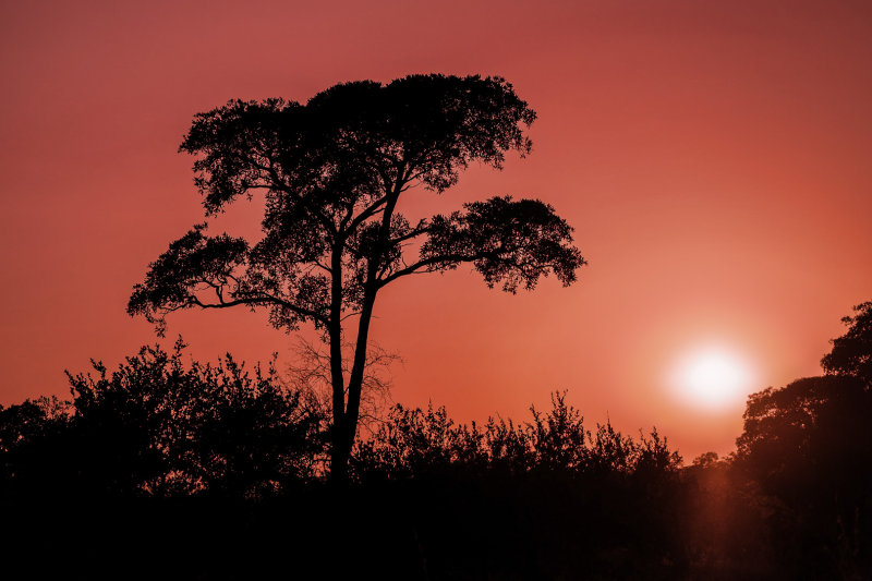 Kruger national park