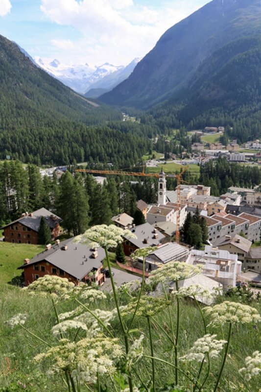 Pontresina