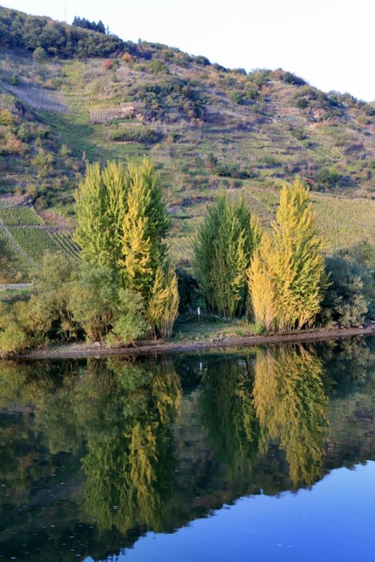 Autumn in the Moselle