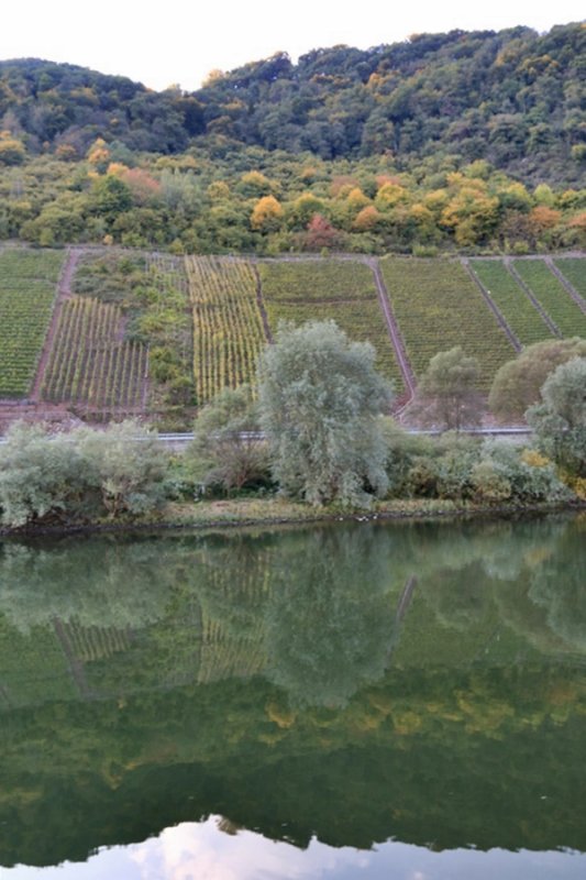 Moselle River