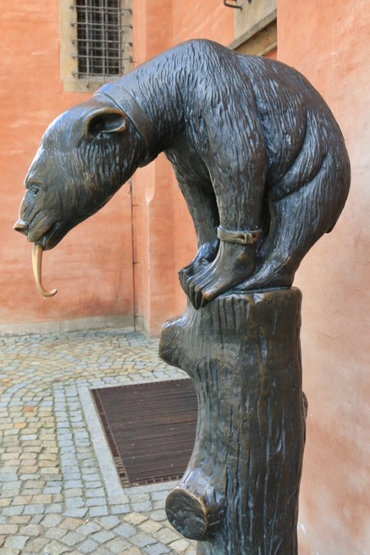 Wroclaw. Rynek