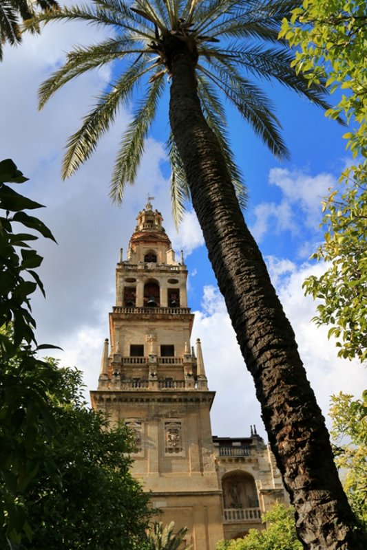 Crdoba. Mezquita