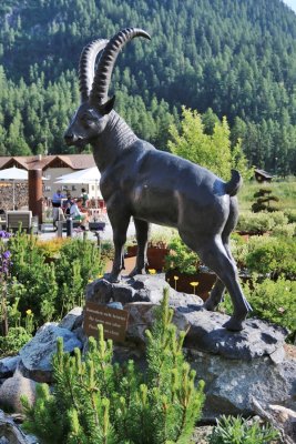 Pontresina. Monument to the Alpine Ibex