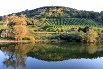 Autumn in the Moselle