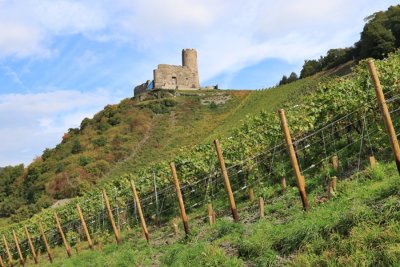 Bernkastel-Kues. Landshut Castle