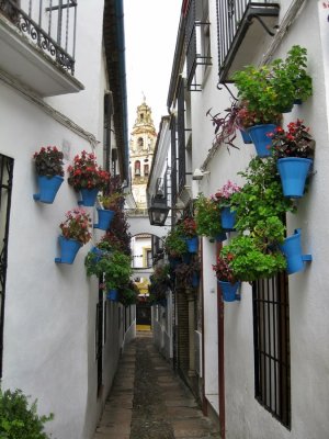 Calleja de las Flores