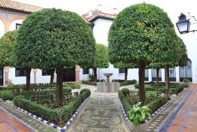 Orange Trees in Crdoba