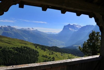 Grindelwald Valley