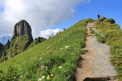 Schynige Platte