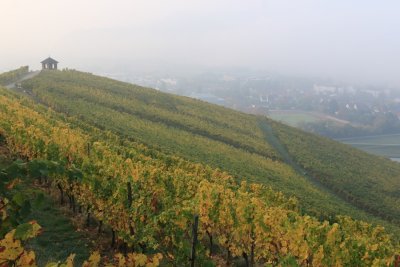 g10/47/949547/3/168412899.HTLIx0Kl.jpg