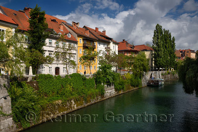 Historic houses on the ivy covered Hribar Quay embankment of the Ljubljanica river canal waterway in the old town of Ljubjlana S