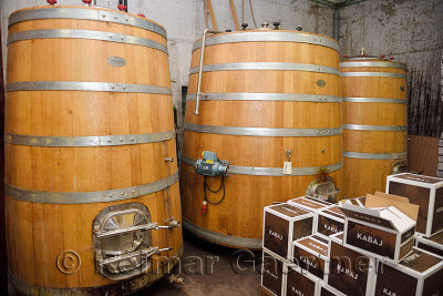 Large oak fermentation barrels at Kabaj Morel Guest House and winery Slovrenc Dobrovo Brda Slovenia