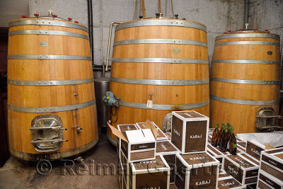 Large oak fermentation barrels of Pinot Grigio at Kabaj Morel Guest House and winery Slovrenc Dobrovo Brda Slovenia
