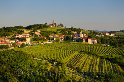 Sunset light on vineyards and Church of the Holy Cross and Church of the Assumption of Mary in the Gorizia Hills at Kojsko Brda 