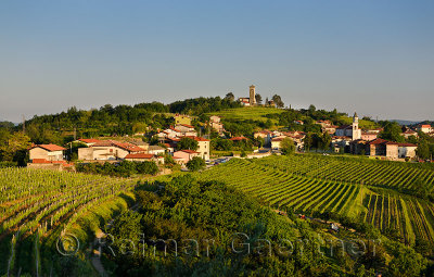 Evening light on vineyards and Church of the Holy Cross and Church of the Assumption of Mary in the Gorizia Hills at Kojsko Brda