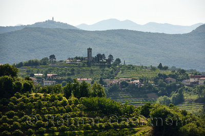 Church of the Holy Cross in Kojsko with vineyards and cherry orchards and Sveta Goro Holy Mountain with Basilica of the Assumpti