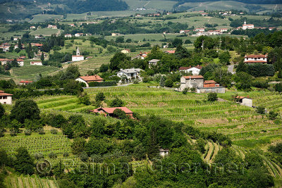 Vineyards near Dobrovo with St Mary of the Snow Church in Snezece and Saint Lawrence church in Slovrenc Brda Slovenia