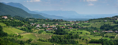 Panorama of vineyards in the green hills of Gorizia Brda at Snezatno from Smartno Slovenia and the Trnovo forest karst plateau