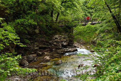 Visitor in red on bridge over the noisy Sum waterfall in the green Spring forest at the end of Vintgar Gorge on the Radovna Rive