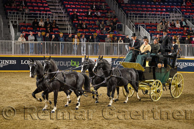 Four black horses at Green Meadows Four in Hand Coaching Class performance at The Royal Horse Show Ricoh Coliseum Exhibition Pla