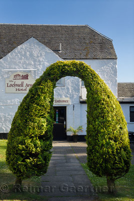 Cedar bushes trained into a topiary archway to Lochnell Arms Hotel in North Connel Scotland UK
