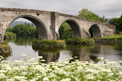 Medieval stone arches of Old Stirling Bridge over the River Forth with Queen Annes Lace on riverbank and Wallace Monument Stirli