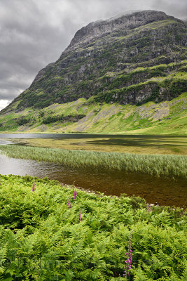 Loch Achtriochtan on the River Coe in green Glen Coe valley with Aonach Dubh of the Three Sisters mountains in cloud Scottish Hi
