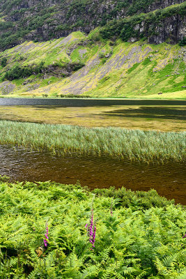 Detail of Loch Achtriochtan on the River Coe in green Glen Coe valley with Aonach Dubh of Bidean nam Bian Scottish Highlands Sco