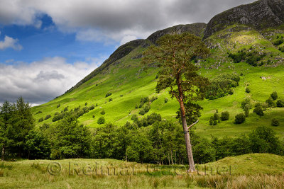 Meall an t-Suidhe mountain north of Ben Nevis at Glen Nevis valley Scottish Highlands Scotland UK