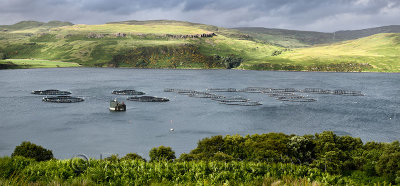 Panorama of Salmon fish farm net pens on Loch Harport with evening sun on Beinn Dhubh from Portnalong Isle of Skye Scotland UK