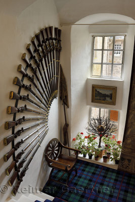 Musket rifle collection display in front staircase of Cawdor Castle with Clan Campbell of Cawdor tartan rug Scotland UK
