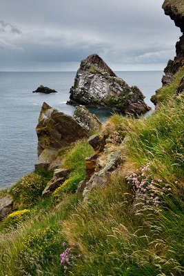 Bow Fiddle Rock quartzite sea arch at rocky cliff with grass and flowers at Portknockie on the North Sea Atlantic ocean Scotland
