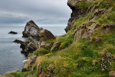 Bow Fiddle Rock quartzite sea arch and rocks on cliff with Thrift Trefoil and grass at Portknockie on the North Sea Atlantic oce