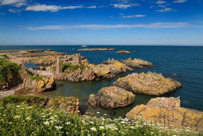 Rock islands at Boddam Harbour North Sea with orange lichen and Queen Annes Lace on shore Boddam Aberdeenshire Scotland UK