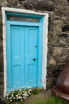 Blue door with daisies of stone house and upside down cauldron in coastal fishing village of Crovie Banff Aberdeenshire Scotland