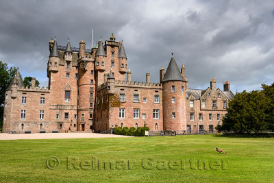 Front lawn of Glamis Castle childhood home of Queen Mother with wild Ring-necked Pheasant with sun and clouds Scotland UK