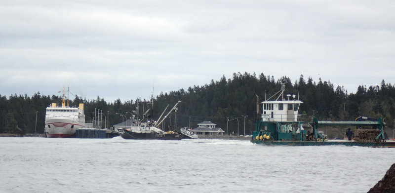 Grand Manan Ferry at dock