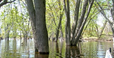Paddling ON the island